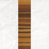 A yarn swatch showing the self striping pattern of the yellow and golden brown tones.