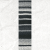 A yarn swatch showing the self striping pattern of the white and black tones.